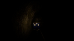 ���������꡼ No.005�Υ���ͥ������ / �ºߤ���ȥ�ͥ�������դˤ����ۥ顼���������󥰥��ߥ�졼�����Ե���ס�Steam���ۿ����ϡ��λ�Τ褦�ʴ��Ф�õ����ڤ��⤦