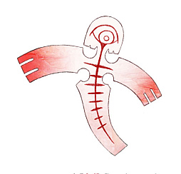 ꡼ No.014Υͥ / ߡסǽв񤦾ޡǥʤо쥭ξҲ𡣸ôҤΥ󥿥ӥ塼