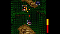 ꡼ No.005 | Griffin