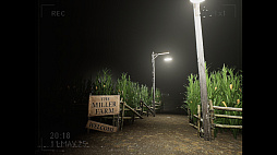 ꡼ No.002 | What Happened to Lily?