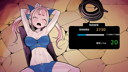 ���������꡼ No.008�Υ���ͥ������ / �Υץ쥤��ݡϥ������η��Ĥ˽����Τ�ĩ�ࡣSTG�ַ���̵������ڤν����פϡ�����뤳�ȤǼ�͸��������ʤ�