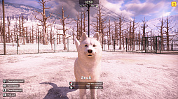 ꡼ No.011 | Animal Shelter 2