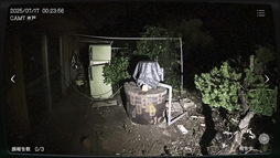 ���������꡼ No.007�Υ���ͥ������ / �ºߤ������ܹ����ʪ���Ĵ����������ܻ���ʪ��ƻ붨�� -Japan Stigmatized Property-�ס�Steam���ȥ��ڡ��������