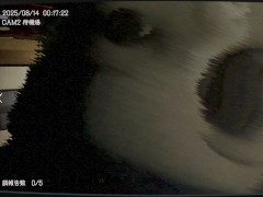 ܻʪƻ붨ס۩Ĥʪǥ٥ȤԤΡְ-ANNYA-פͿƤ뤳Ȥ餫ˡºݤλݤ򸵤