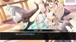 ꡼ No.003 | Destiny Code