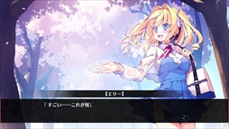 ꡼ No.006 | Destiny Code