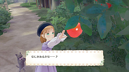 ꡼ No.001 | ޥ륯եȡǭˡΥɥ쥹