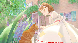 ꡼ No.004 | ޥ륯եȡǭˡΥɥ쥹