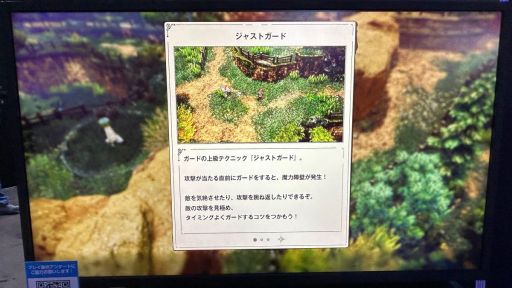 ꡼ No.008Υͥ / ȥꥪåȤǯʪפϡǯ2DˤARPGͷǤͤ˻ɤꤽͷݡȤǺܡTGS2025