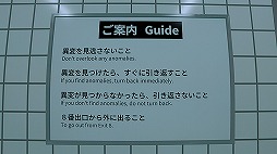 ꡼ No.005Υͥ / 8ֽи Nintendo Switch 2 Edition829˥꡼٤ȥե졼졼Ȥ夷ǲ˹碌ƿʰѤɲ