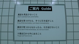 ꡼ No.005Υͥ / ˿ǥΤΥҥҥ硼 855֤֤𤬸