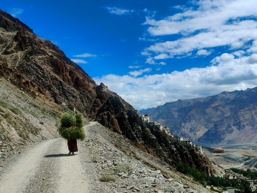 ���������꡼ No.006�Υ���ͥ������ / �Υ��󥿥ӥ塼���������ꥮ��ΥХ�󥹤�������ư��SLG����ˤν����פ�����ԤǤ����������ˡ����������Ƥ�Ŀ�����ζ�ϫ��ʹ����