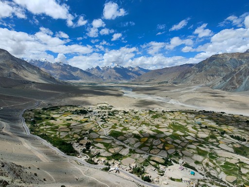 ���������꡼ No.007�Υ���ͥ������ / �Υ��󥿥ӥ塼���������ꥮ��ΥХ�󥹤�������ư��SLG����ˤν����פ�����ԤǤ����������ˡ����������Ƥ�Ŀ�����ζ�ϫ��ʹ����