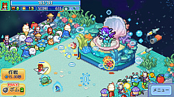 õ���ѥ����å�����