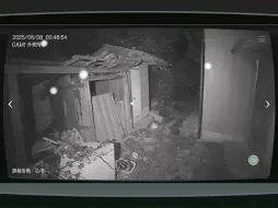 ꡼ No.007 | ܻʪƻ붨 -JSP-