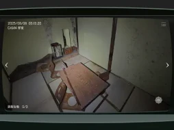 ꡼ No.008 | ܻʪƻ붨 -JSP-