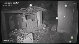 ꡼ No.007 | ܻʪƻ붨 -JSP-