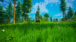 ꡼ No.013 | My Money Grows On Trees