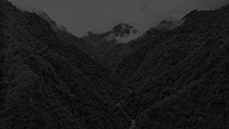 ꡼ No.043Υͥ / ꡼ץΤΥХХۥ顼ADV̷ʤĤΤˡסSwitchʤȤ2026ǯ129ȯ