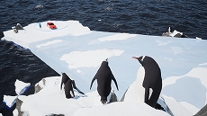 ꡼ No.007Υͥ / 鷺ʥߥǼ֤ȯ2Ͷ֥Parking Together!ס918Steamǥ꡼