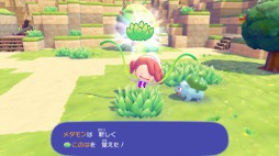 ꡼ No.011Υͥ / ˥󥲥ѿȤ᥿Ȥʤꡤݥ󤿤ȤΤۤΤܤ餷ڤ֤ݤ  ݥȯɽSwitch22026ǯȯ