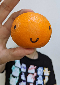 ꡼ No.012Υͥ / G-MODE֥+ õ塦οVol.120ԡԤʬƼϿSwitchѥåǤ2026ǯ129ȯ