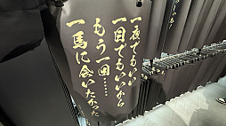 ꡼ No.005Υͥ / ζǡ״Ÿݡȡ뺧򵷡֤魯ġĿΥɥޤơޤˡζǡפ餷̣廊