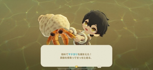 ꡼ No.023Υͥ / Υץ쥤ݡޤ뤴ȥʥ롪 HoYoverseο饤ե֥ץץͥåȡצ¥ƥȤ˻äƤߤ