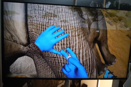 ꡼ No.006Υͥ / ĤưʪŤVRWILDLIFE DOCTORפǥץ쥤ȴ¥פߺTGS2025