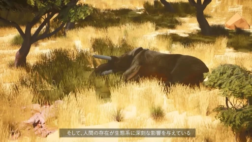 ꡼ No.011Υͥ / ĤưʪŤVRWILDLIFE DOCTORפǥץ쥤ȴ¥פߺTGS2025