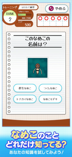 ꡼ No.006Υͥ / ֤ʤᤳɥס꡼֤ʤᤳݥåȡץ꡼о줹롤ʤᤳ˴ؤ򤳤