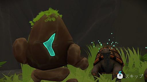 ꡼ No.010Υͥ / ͤȥĥͤι̤Ƽ䤹Unpetrified: Echoes of Natureסʤۤ ǥPick Up