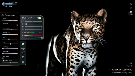 画像ギャラリー No.012のサムネイル画像 / サバンナの風を感じながらただシャッターを切る。野生動物撮影シム「Seclusa」(ほぼ日 インディーPick Up!)