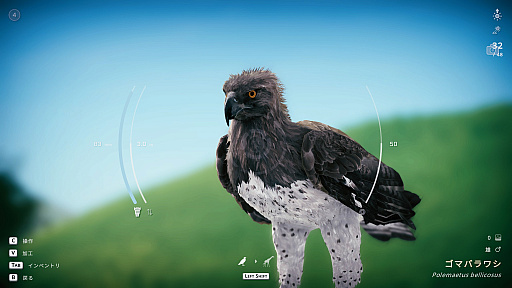 画像ギャラリー No.031のサムネイル画像 / サバンナの風を感じながらただシャッターを切る。野生動物撮影シム「Seclusa」(ほぼ日 インディーPick Up!)