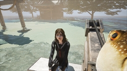 ꡼ No.004Υͥ / Chilla's ArtUMIGARI | ߥסθǤSteamۿϡ̸õƤ뤦ˡ̯ʵѤ򸽤ơġ