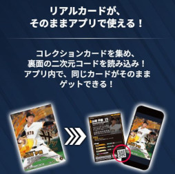 ꡼ No.016Υͥ / ֥ץ ե󥹥꡼סɦ¥ƥȤλüԤ罸档ꥢȥǥ뤬Ϣưץ祫ɥ