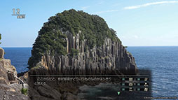 ꡼ No.003Υͥ / ХǤιڤ륢ɥ٥㡼赭5סPCۿꡣSteamΥȥڡ