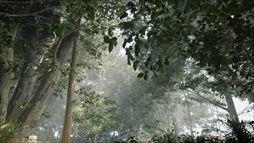 ���������꡼ No.013�Υ���ͥ������ / �롼�����ʤ��顤���Ҥβ��������������;λ����ο����ۥ顼�������̸�β��� Misty Onsen�ס�Steam���ۿ�����