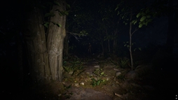 ���������꡼ No.014�Υ���ͥ������ / �롼�����ʤ��顤���Ҥβ��������������;λ����ο����ۥ顼�������̸�β��� Misty Onsen�ס�Steam���ۿ�����