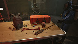 ꡼ No.003 | Quarantine Zone: The Last Check