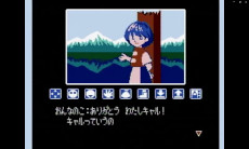 ꡼ No.012Υͥ / 16ͤǶϲǽʥå󥰥֥åץ륢 ȥΥ쥹ȥסPC/Switch2Ǥ꡼