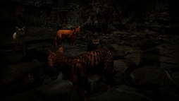 ꡼ No.006 | Meowmories -meowmare adventure-