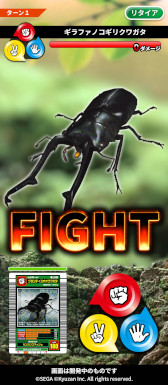 ꡼ No.010Υͥ / ֹԥॷ󥰡פȤ֥å󥲡MUSHInomics with MUSHIKINGס11ܤ˥꡼