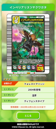 ꡼ No.002Υͥ / ֹԥॷ󥰡פȤ֥å󥲡MUSHInomics with MUSHIKINGסӥ