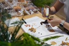 画像ギャラリー No.010のサムネイル画像 / 「あつまれ どうぶつの森」×「東急リゾートタウン蓼科」コラボイベント，4月18日〜7月20日に開催。サカナ釣りやDIYなどを楽しもう