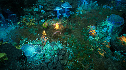 ꡼ No.008 | Rise Again