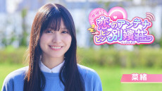 ꡼ No.007Υͥ / ¼̱ҴΥƥ ӥӥסθǤSteamǥ꡼ƥīAimingƱ