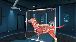 Animal Anatomy XR