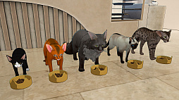 ꡼ No.003 | ǭβ Cat Home