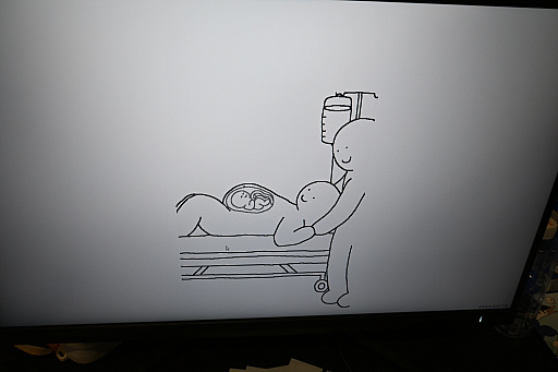 ꡼ No.003Υͥ / ̯ʤΤˡʤ뤤ȥꥢΤäѤ֥֥ƥ󥰥סWePlay2025